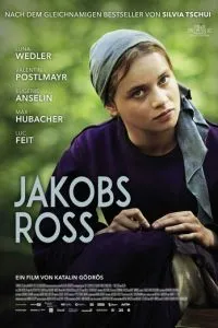 Когда поёт душа (2024)